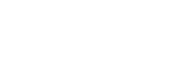 White text 'IISVGE' in bold italic font inside a black rectangle on white background.