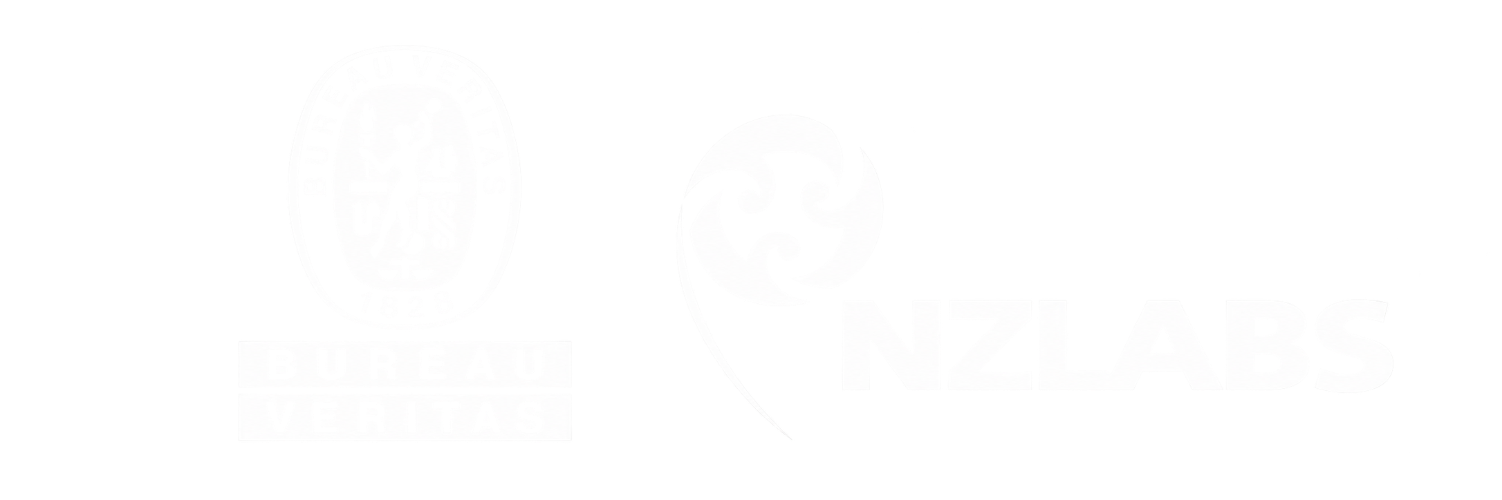 White text 'IISVGE' in bold italic font inside a black rectangle on white background.