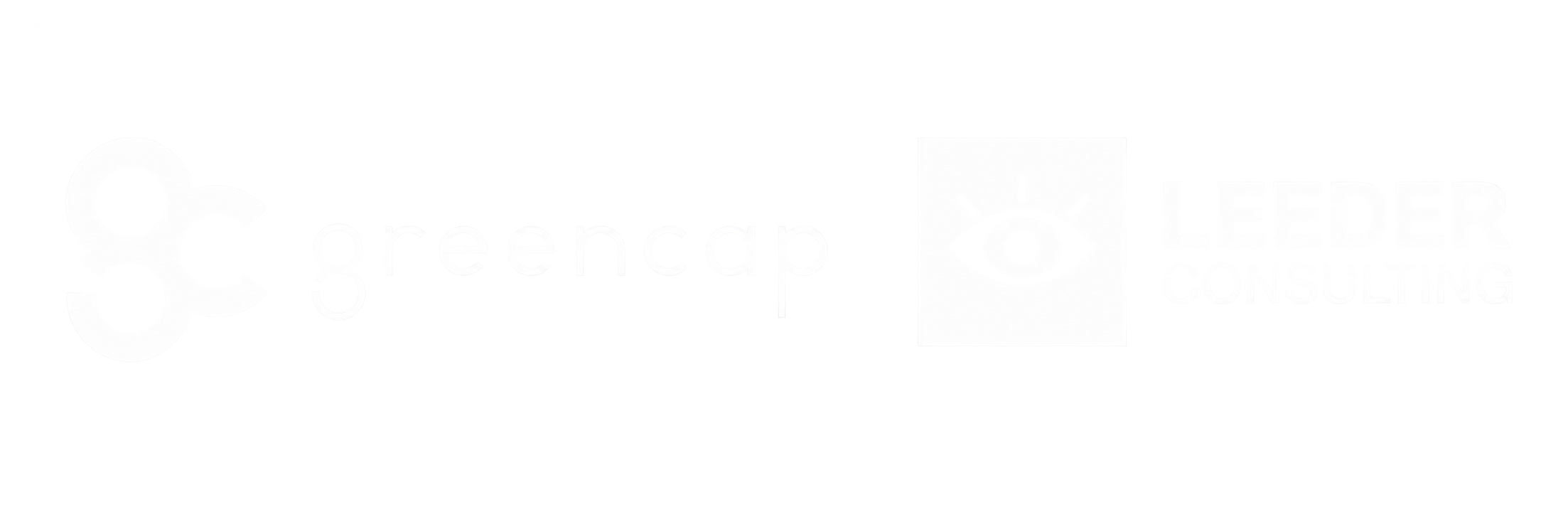 White text 'IISVGE' in bold italic font inside a black rectangle on white background.