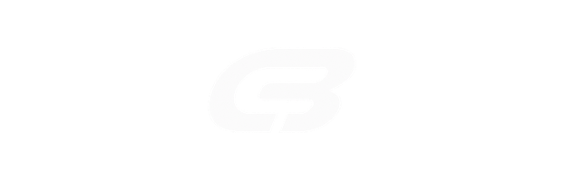 White text 'IISVGE' in bold italic font inside a black rectangle on white background.