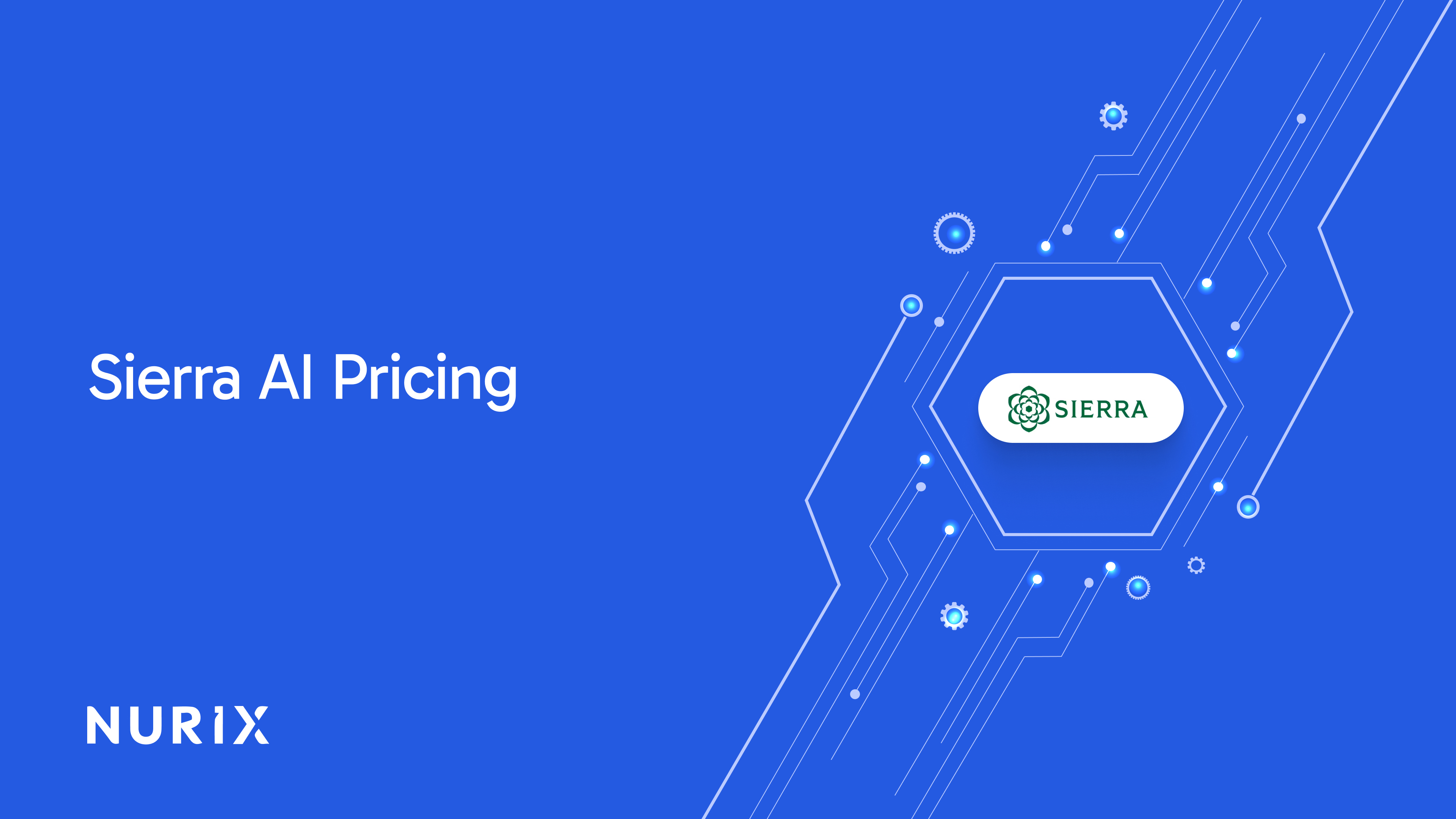 Sierra AI Pricing vs Alternatives: Enterprise Cost Guide