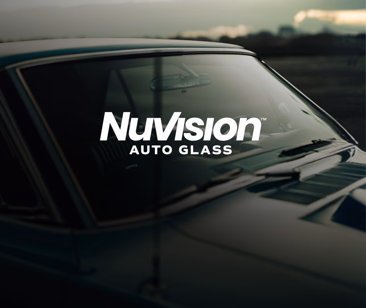 NuVision Image