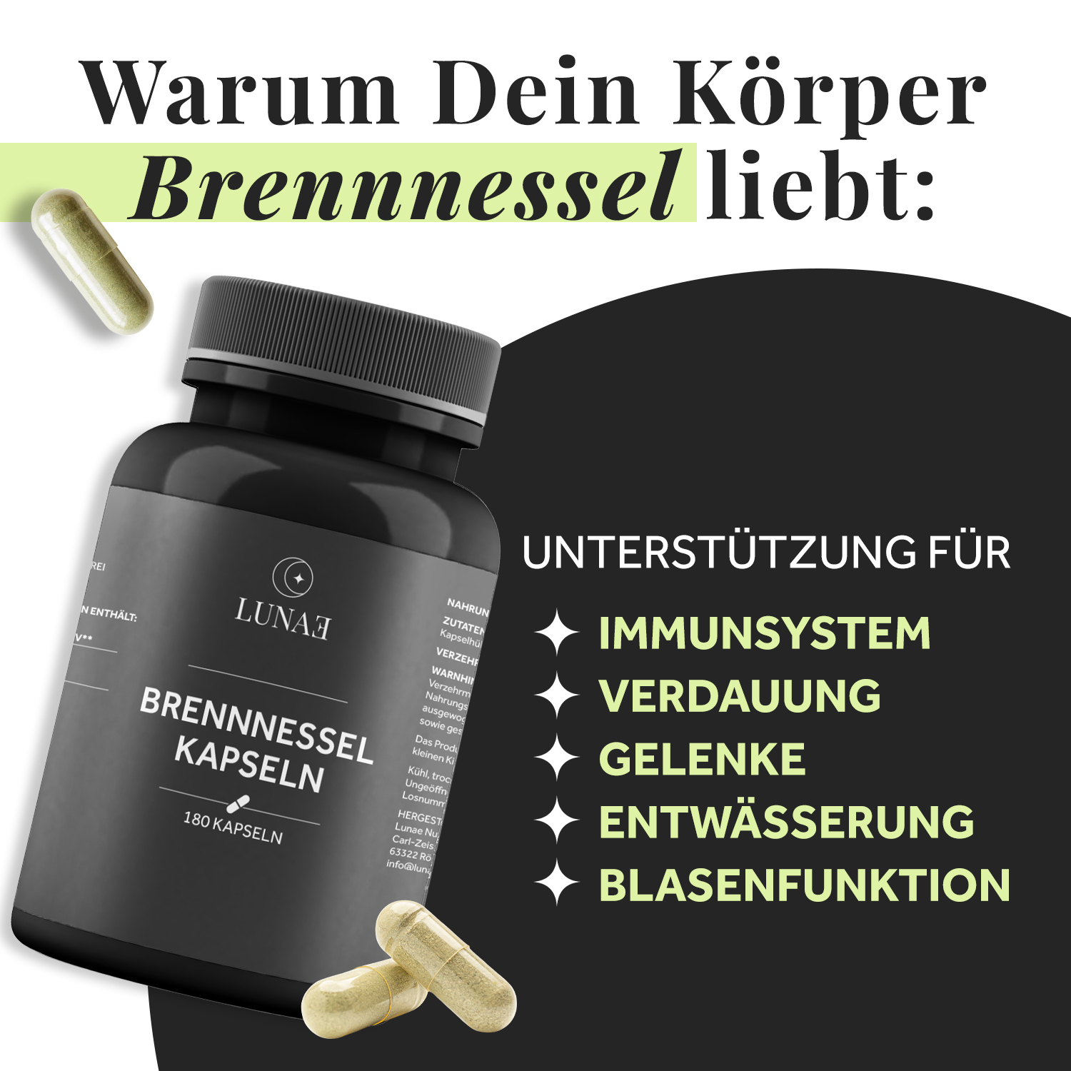LUNAE Brennnessel Detail 1