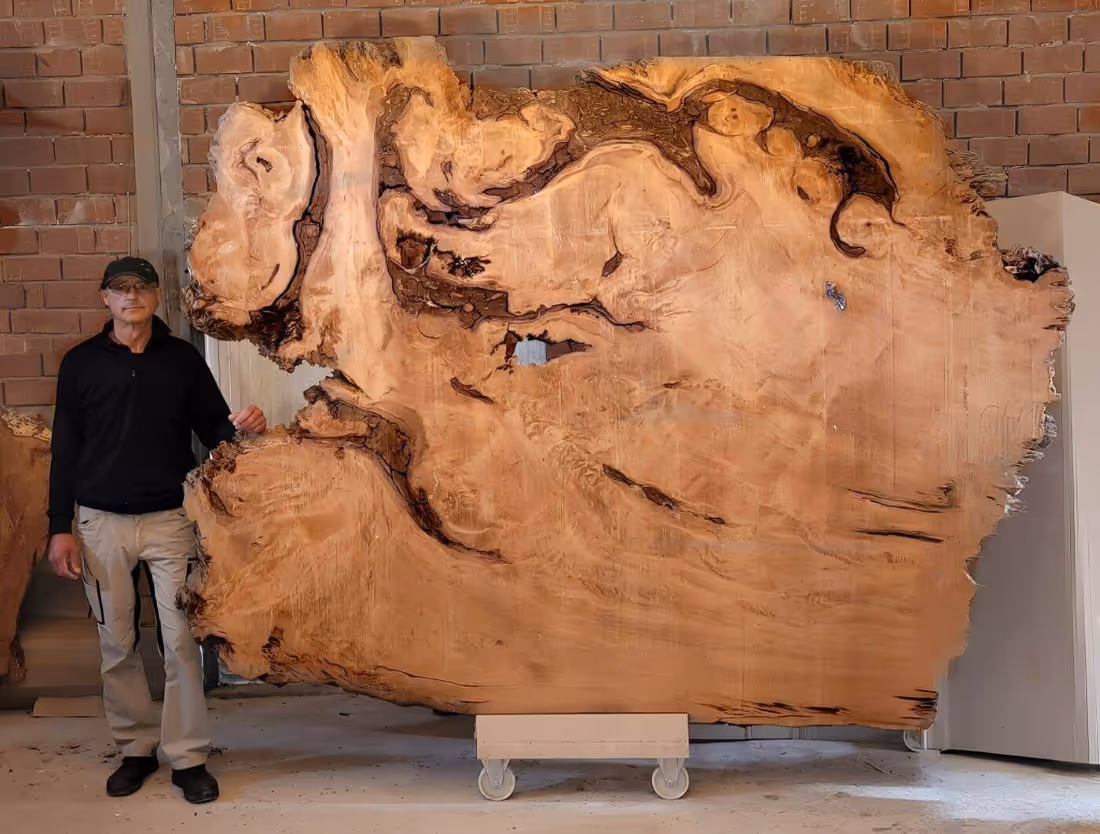Michael Beaupoil im Atelier in Deitschland mit großer Wurzelplatte für Collectible Design Objekt, skulpturalem Tisch und funktionaler Kunst in privaten Sammlungen und Executive-Bereichen
