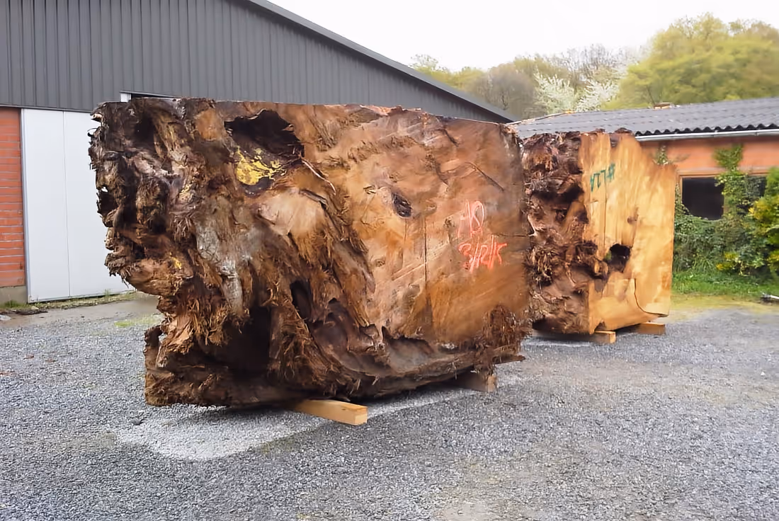 Jahrtausende altes Swamp Kauri Wurzelholz und Tischplatten für Collectible Design, Konferenztische, funktionale Kunst und Möbel in Deutschland