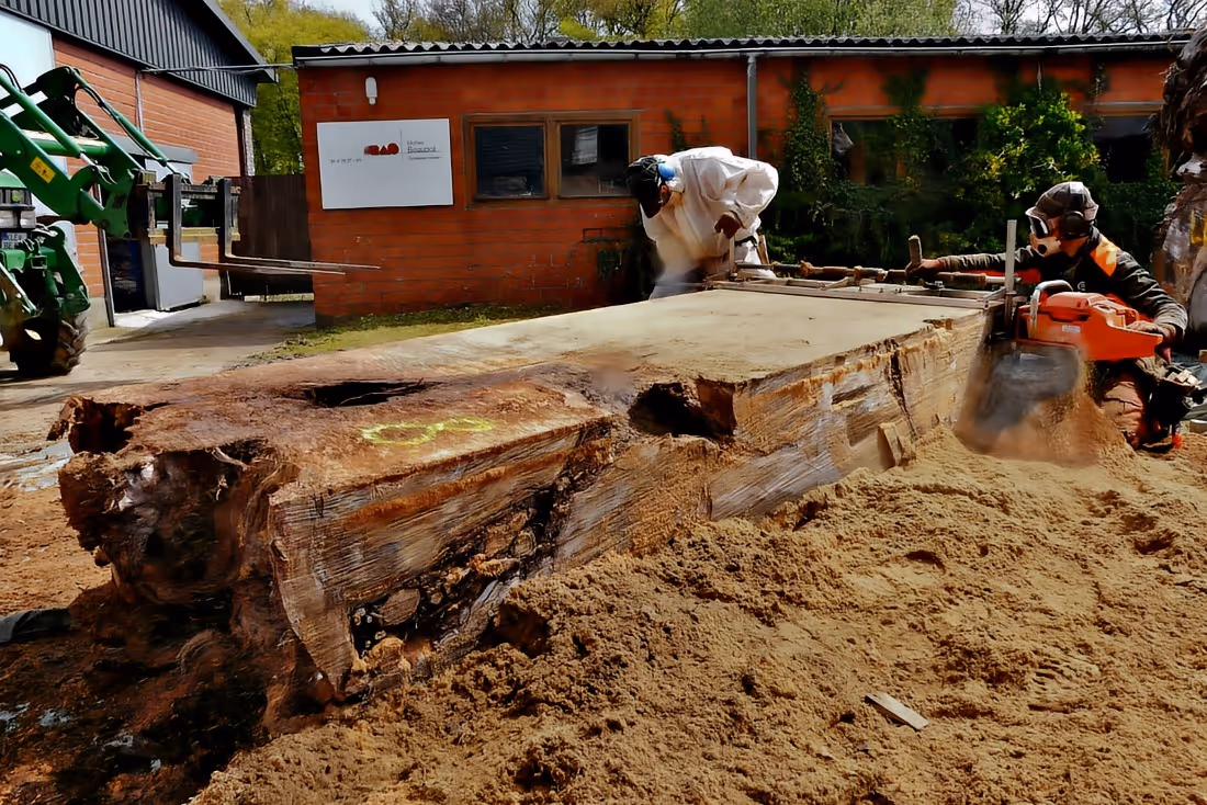 Subfossiles Ancient Kauri Wurzelholz für Unikat Collectible Design Möbel aus einem Stück Massivholz und große Konferenztische im Atelier bei Beaupoil in Deutschland