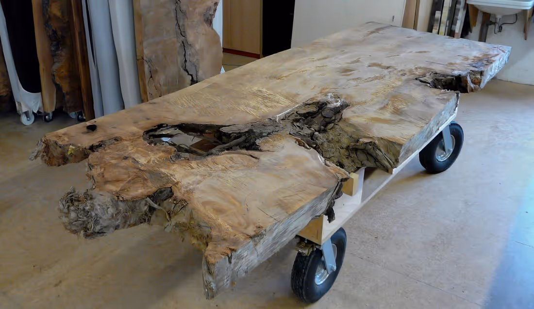 Ancient Kauri Wurzelholz Tischplatte für Unikat Collectible Design Möbel aus einem Stück Massivholz im Atelier bei Beaupoil in Deutschland