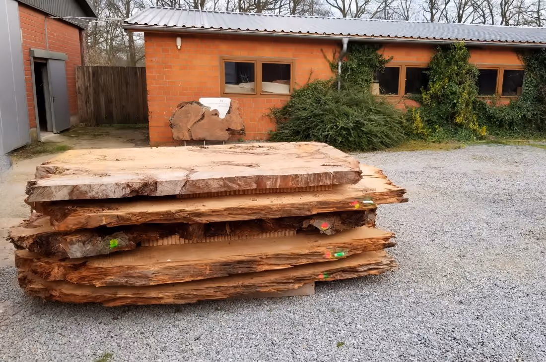 Plateaux de table uniques en bois de racine de kauri, alliant art fonctionnel et objets de collection dans le domaine de l'artisanat contemporain