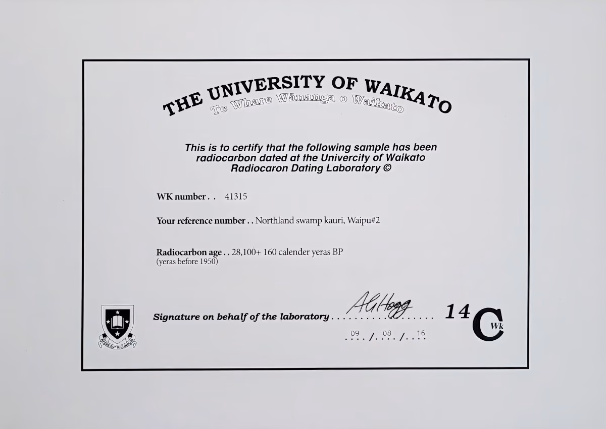 Certificat d'authenticité d'un meuble de collection doté d'un plateau sculptural en bois massif préhistorique vieux de 28 000 ans, à la fois table fonctionnelle et objet de collection