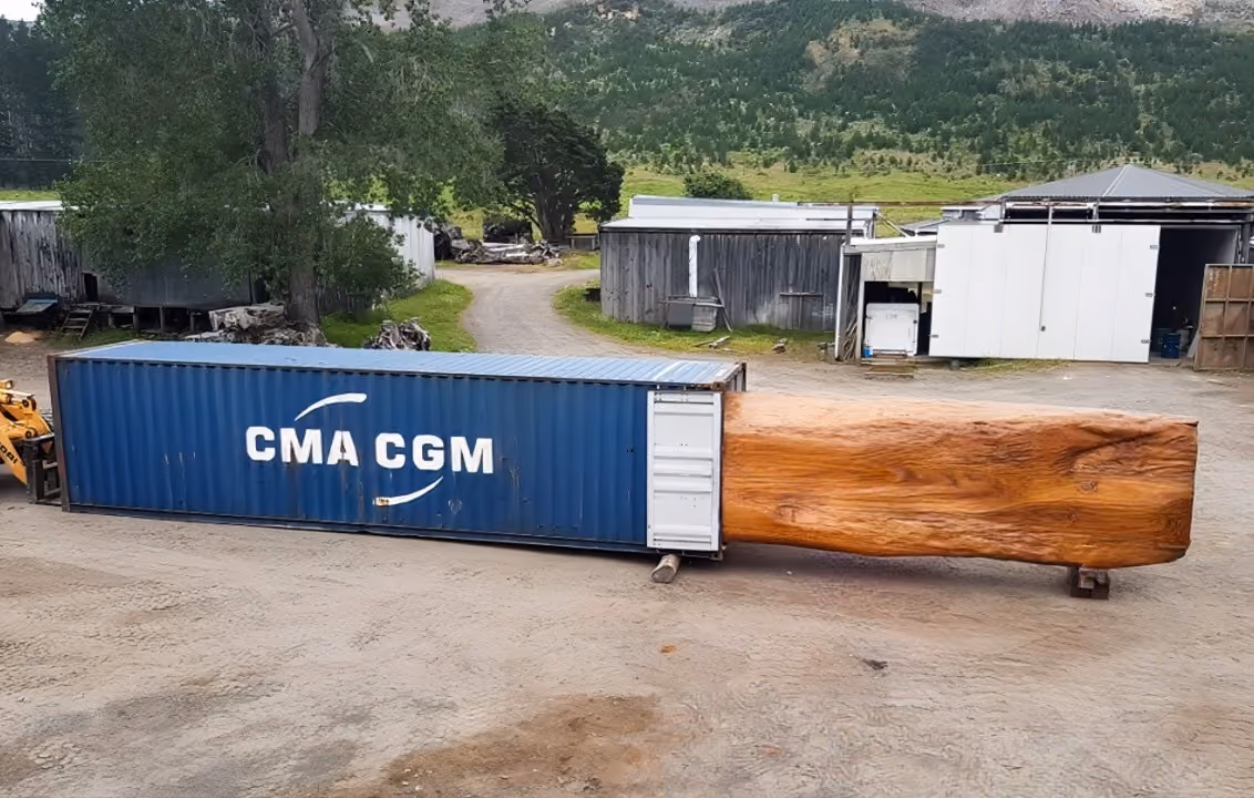 Loading a monumental ancient kauri tree for handmade, one-of-a-kind collectible designer furniture and exclusive design objects