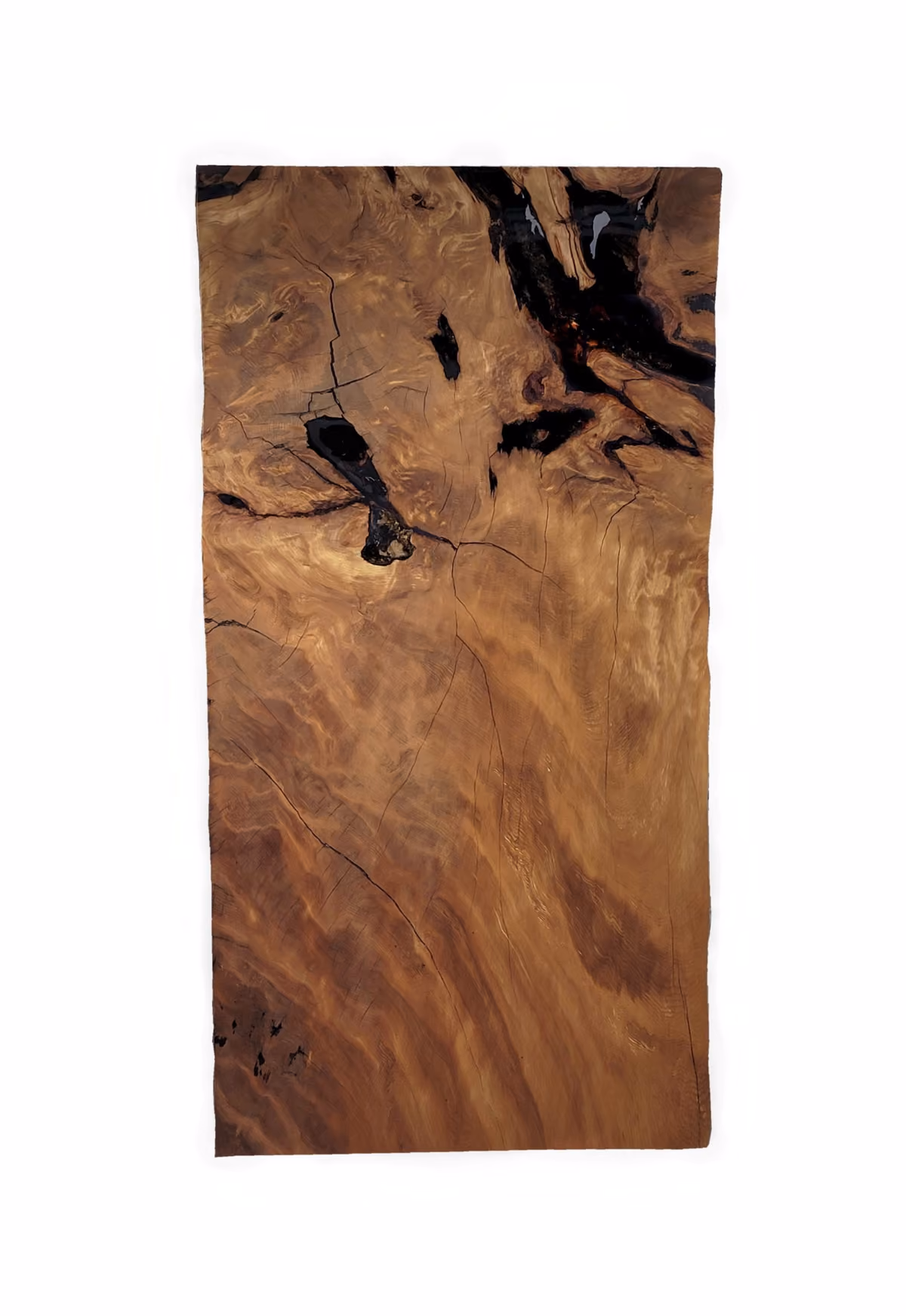 Plateau de table unique en son genre, réalisé à partir d'un tronc et de racines exceptionnels, agrémenté d'ambre et d'écorce, destiné à servir de table à manger de collection, de mobilier d'atelier, d'œuvre d'art et d'objet fonctionnel