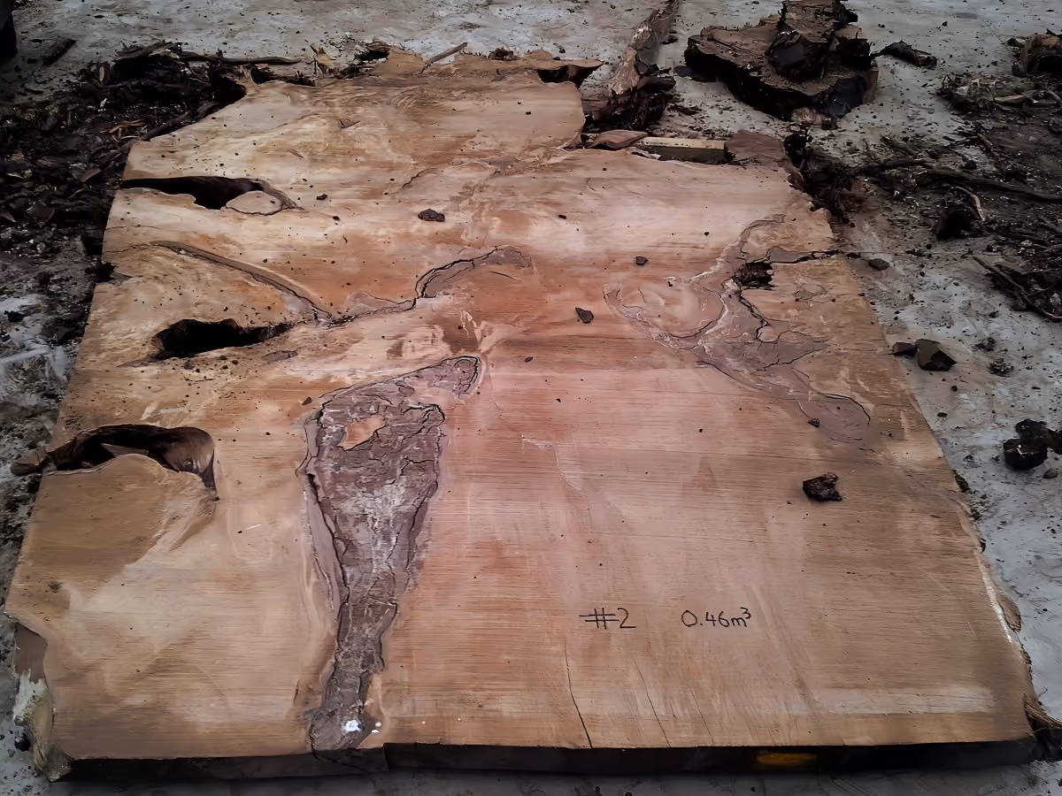 Unbearbeitete große Tischplatte eines Collectible Designtisches aus Jahrtausende altem Ancient Kauri mit natürlich eingewachsenem Bernstein und Rinde in Epoxidharz