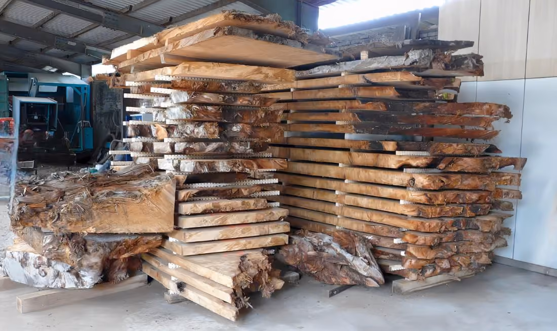 Kauri-Wurzelholz für Collectible Design Möbel mit Kunst und Funktion, Werke, Esstische und Konferenztische für exklusive Chalets und Hotels in Schweiz