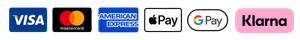 Horizontal row of payment method logos including Visa, Mastercard, American Express, Apple Pay, Google Pay, and Klarna.