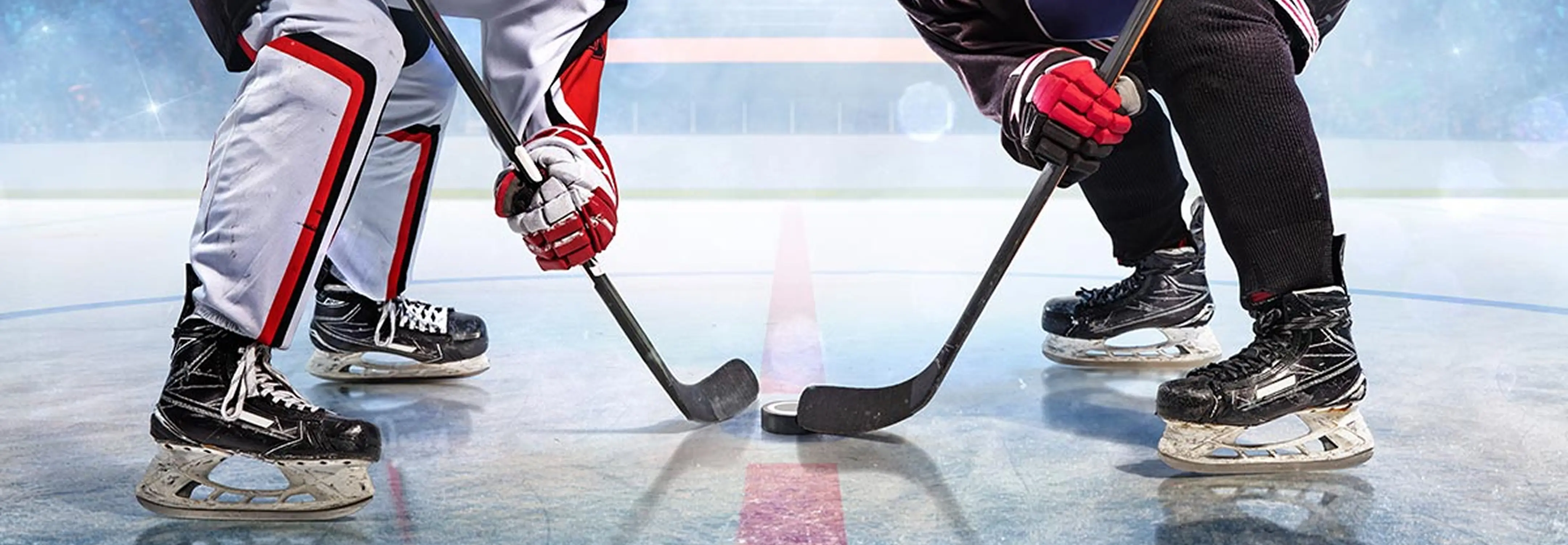 Adult Hockey League