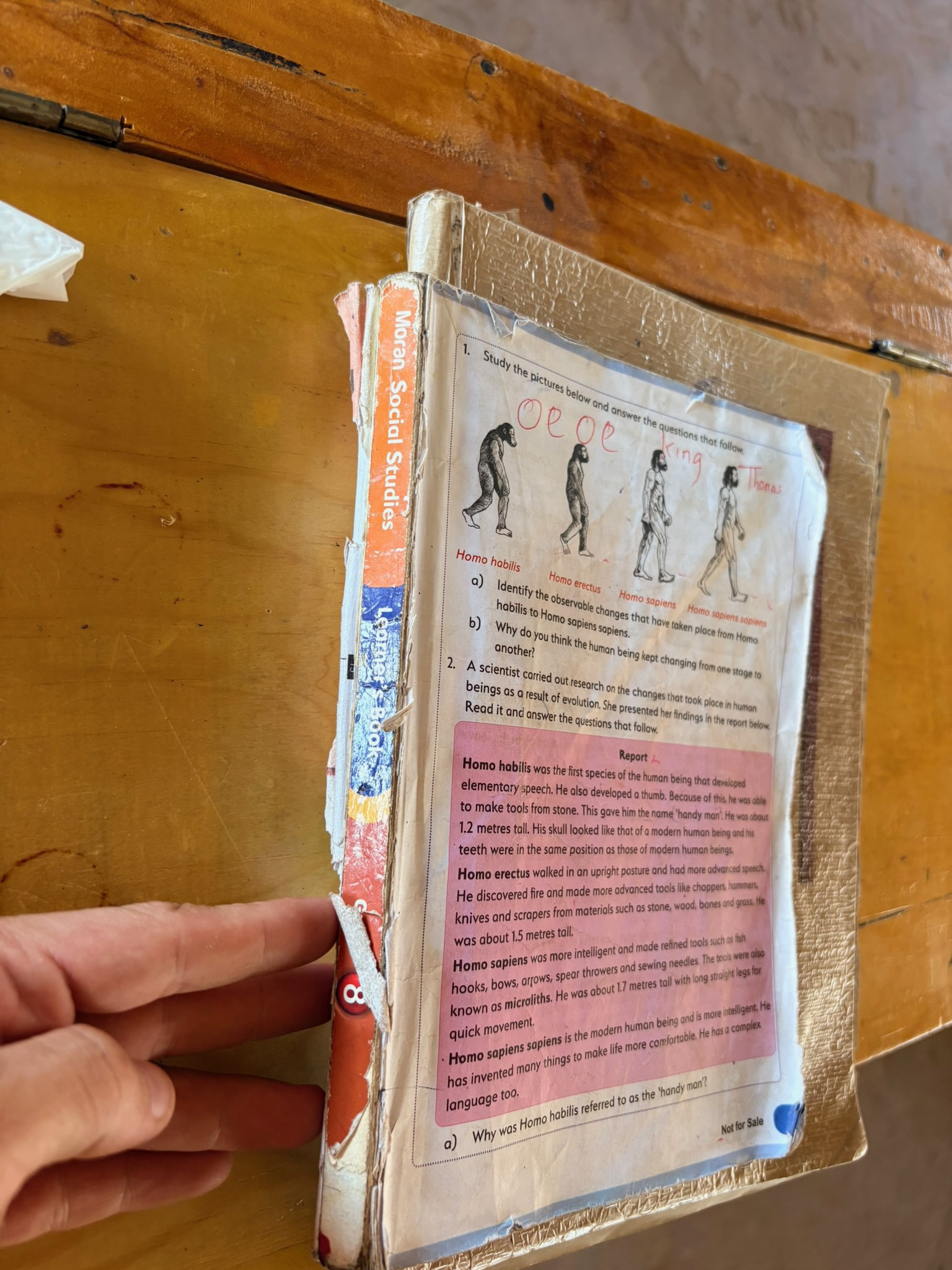 A worn and taped old textbook titled Moran Social Studies with a page open showing an evolutionary chart of human ancestors from Homo habilis to Homo sapiens sapiens along with text and questions about human evolution and tool use, held by a hand over a wooden surface.