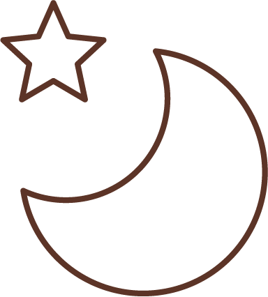 Simple brown line drawing of a crescent moon with a five-point star to its upper left on a white background.