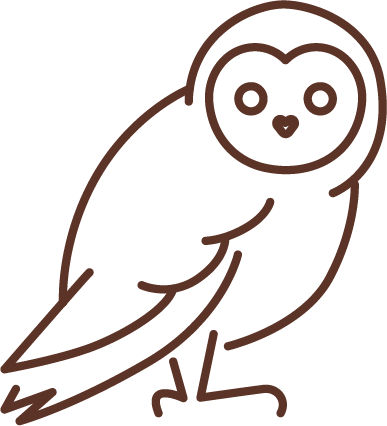 Simplified line drawing of a barn owl facing forward with round eyes and heart-shaped facial disc.
