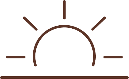 Simple brown line icon of a sunrise with rays extending above a horizontal horizon line.