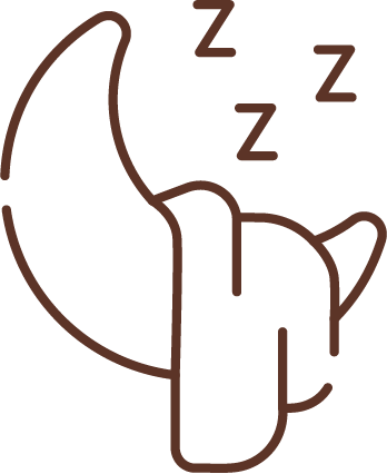 Simple brown line drawing of a crescent moon wearing a sleeping cap, with three 'Z' symbols above indicating sleep.