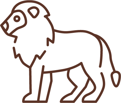 Simple brown outline illustration of a lion standing and facing left, with a prominent mane, tail tuft, and visible facial features.