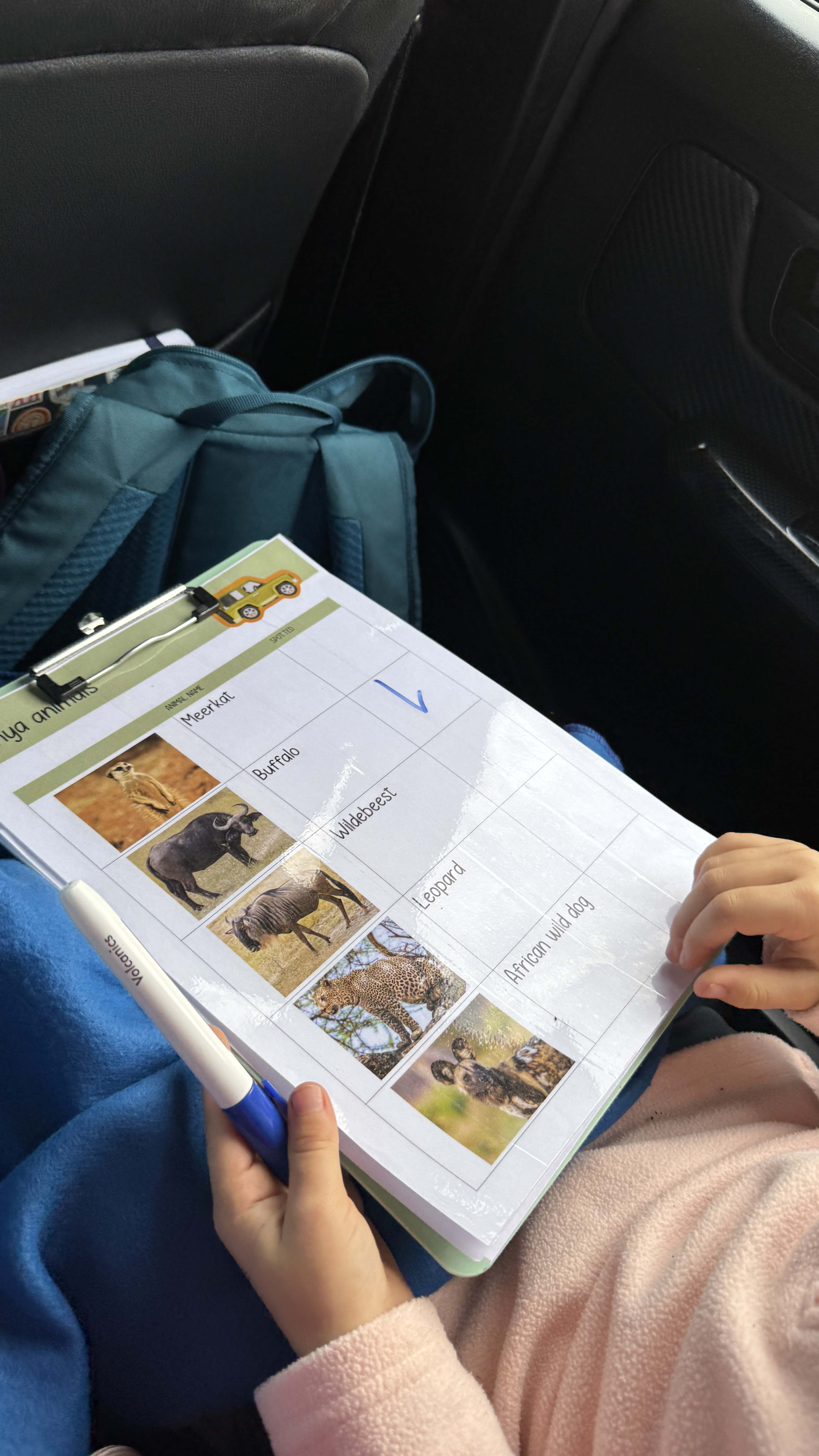Child holding a clipboard with a laminated sheet listing African animals with photos: Meerkat, Buffalo, Wildebeest, Leopard, African wild dog, and a blue checkmark written next to Buffalo. The child holds a blue and white pen and is covered with a blue blanket.