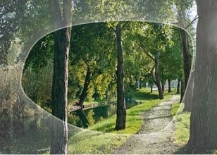 View through polarized sunglasses lens showing a clear, high-contrast scene of a tree-lined path beside a calm river.