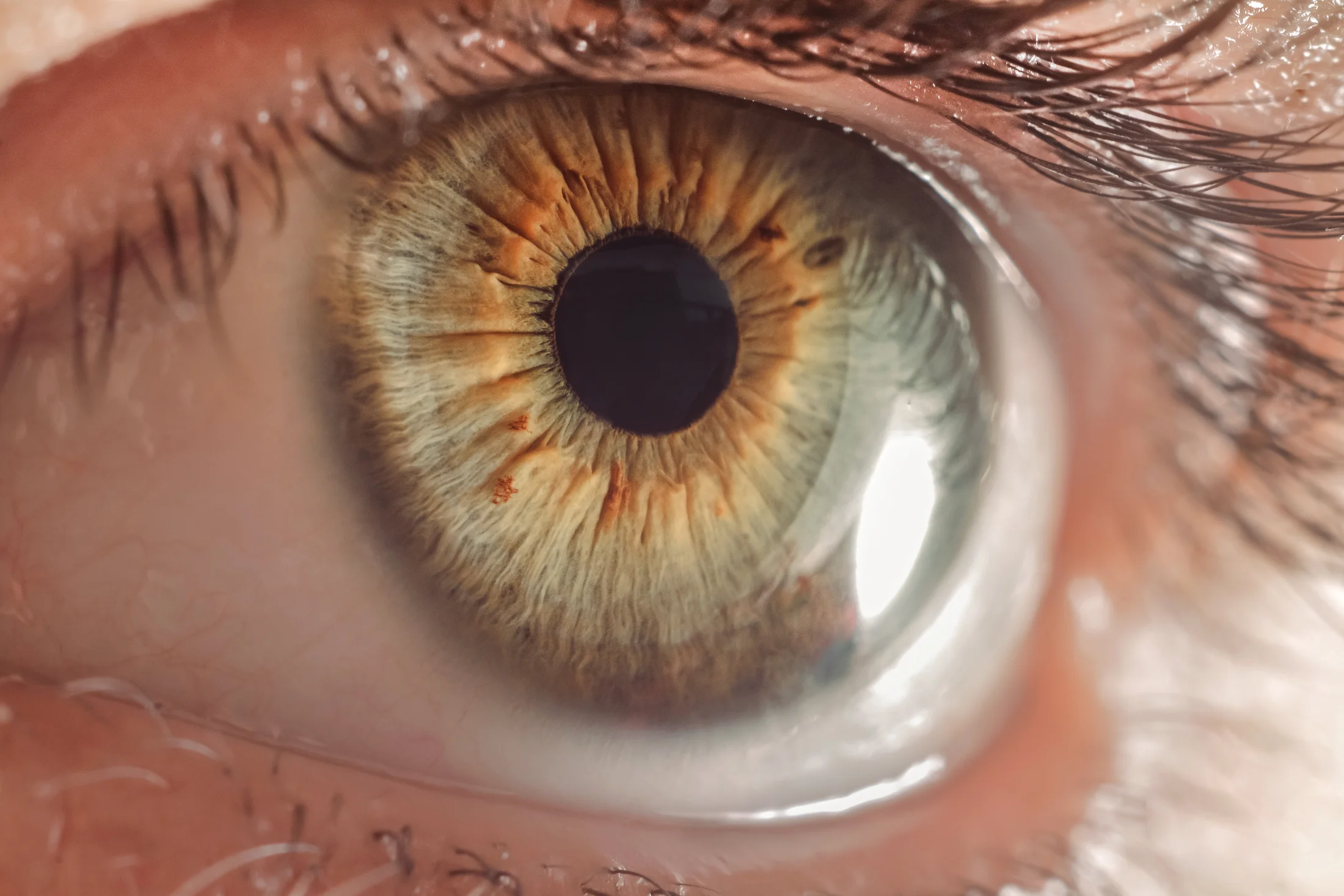 Close-up macro view of a human eye showing detailed patterns and colors of the iris with shades of green, brown, and hints of orange around a black pupil, surrounded by eyelashes and skin texture.