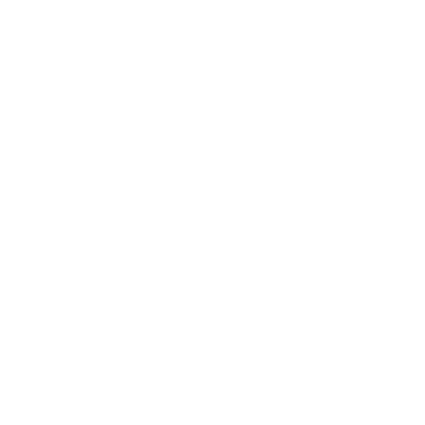A high-performance website engineered to load fast, rank well and convert - built on a clean, scalable platform that's easy to manage and ready to grow.