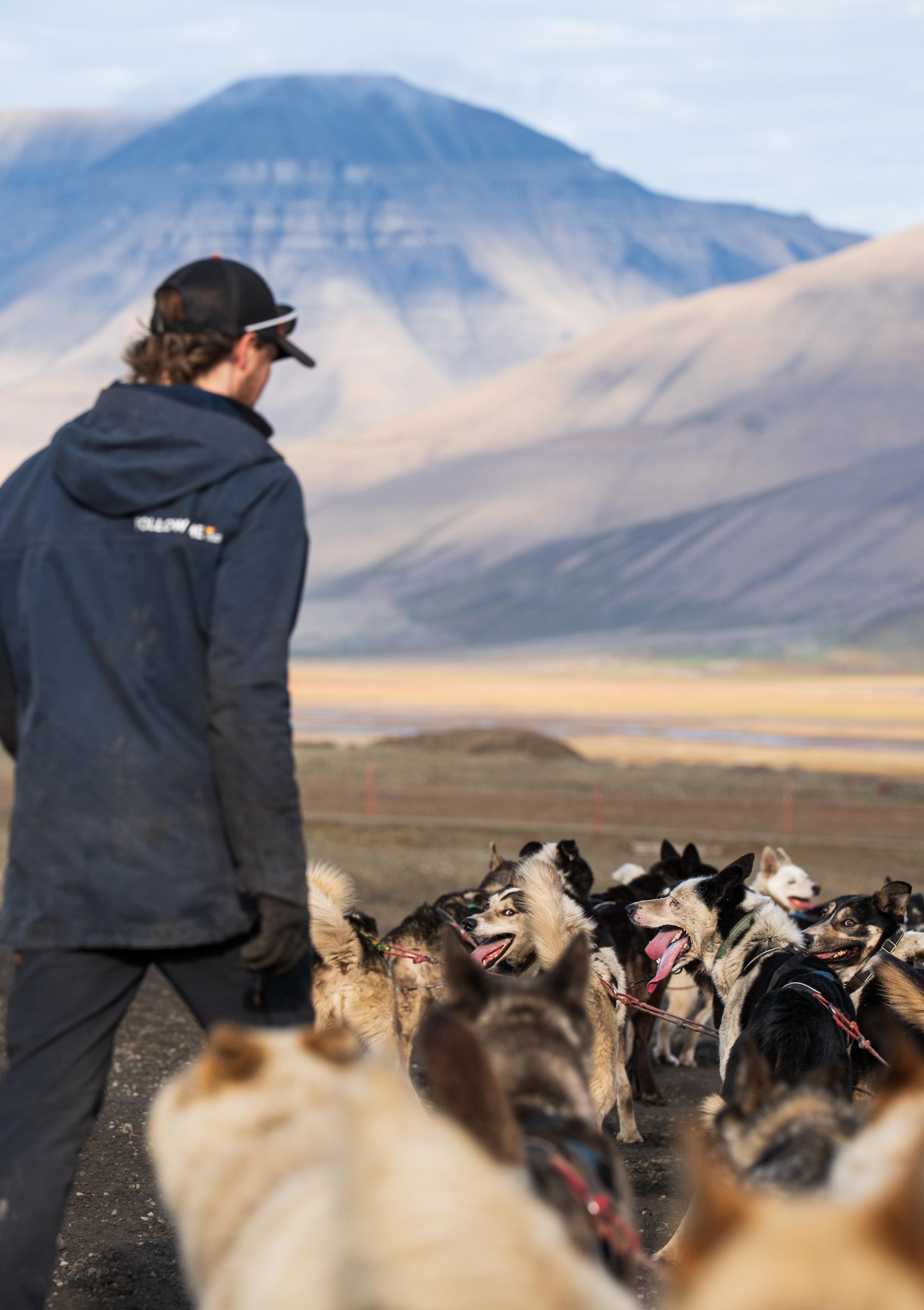 Dog sledding team with guide