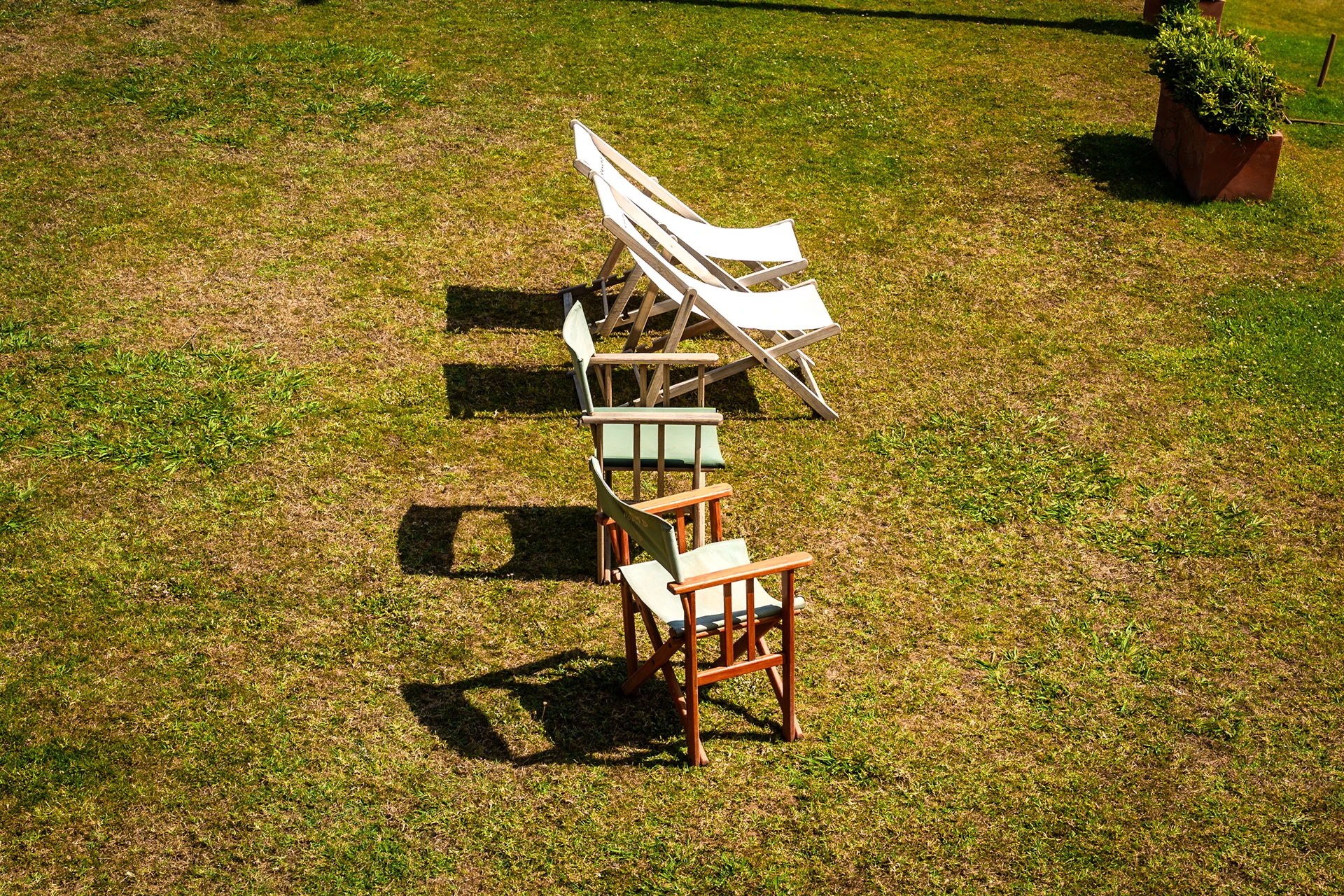 Four chairs arranged in a row casting shadows on a sunlit grassy lawn.