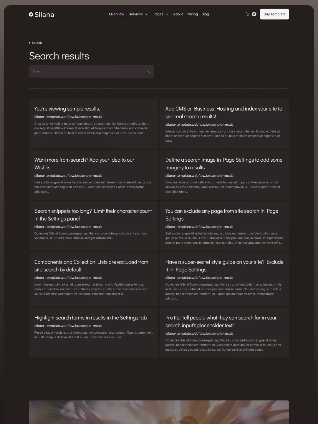 Website search results page with multiple text snippets and a search bar below the heading.