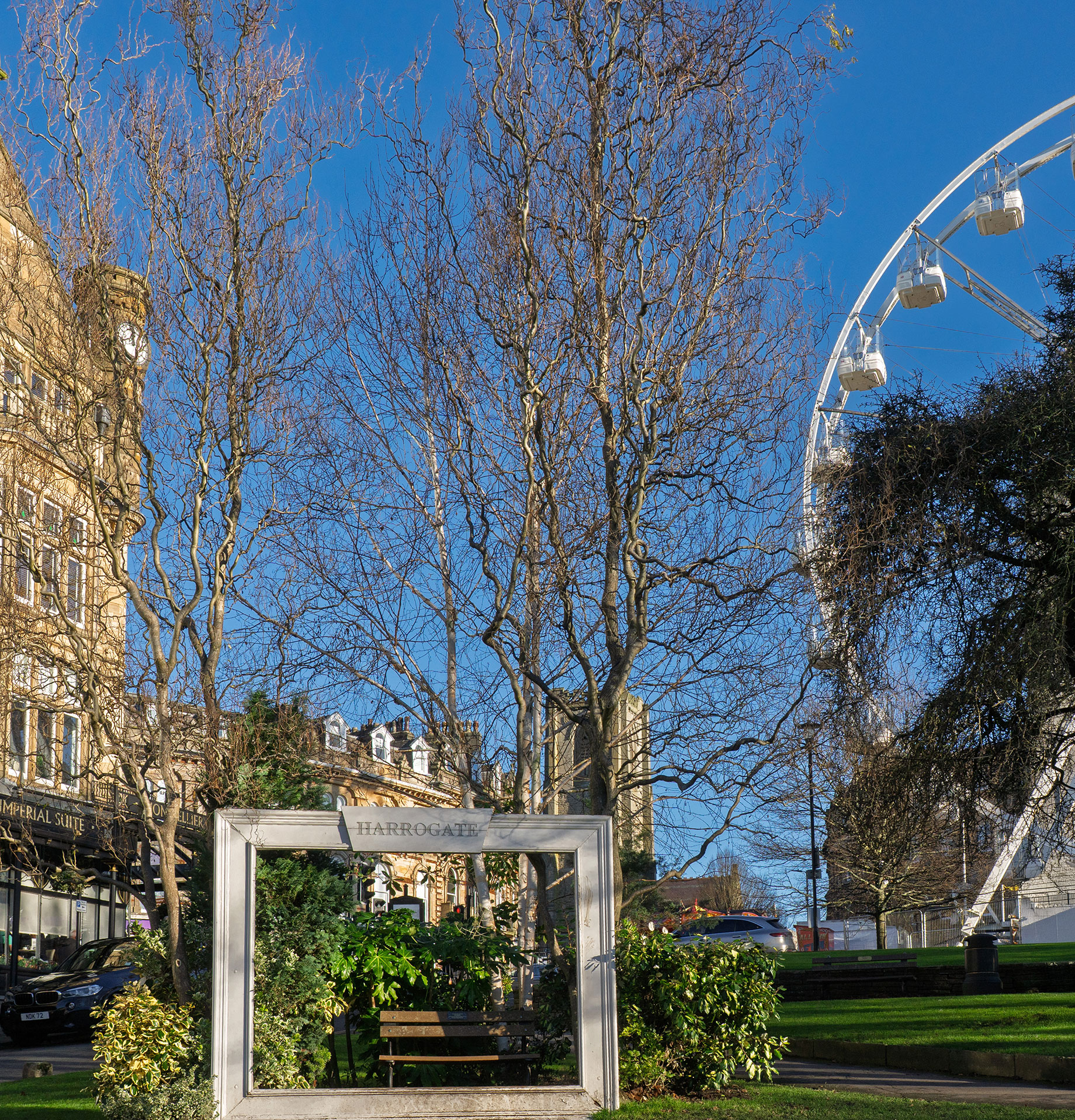 Dog-Friendly Harrogate: Walks, Pubs and Places to Stay
