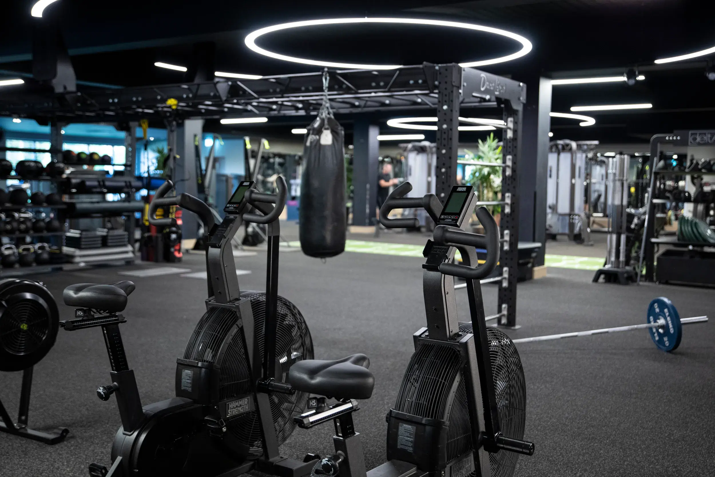 David Lloyd Harrogate