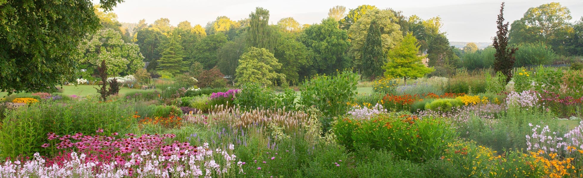 RHS Garden Harlow Carr
