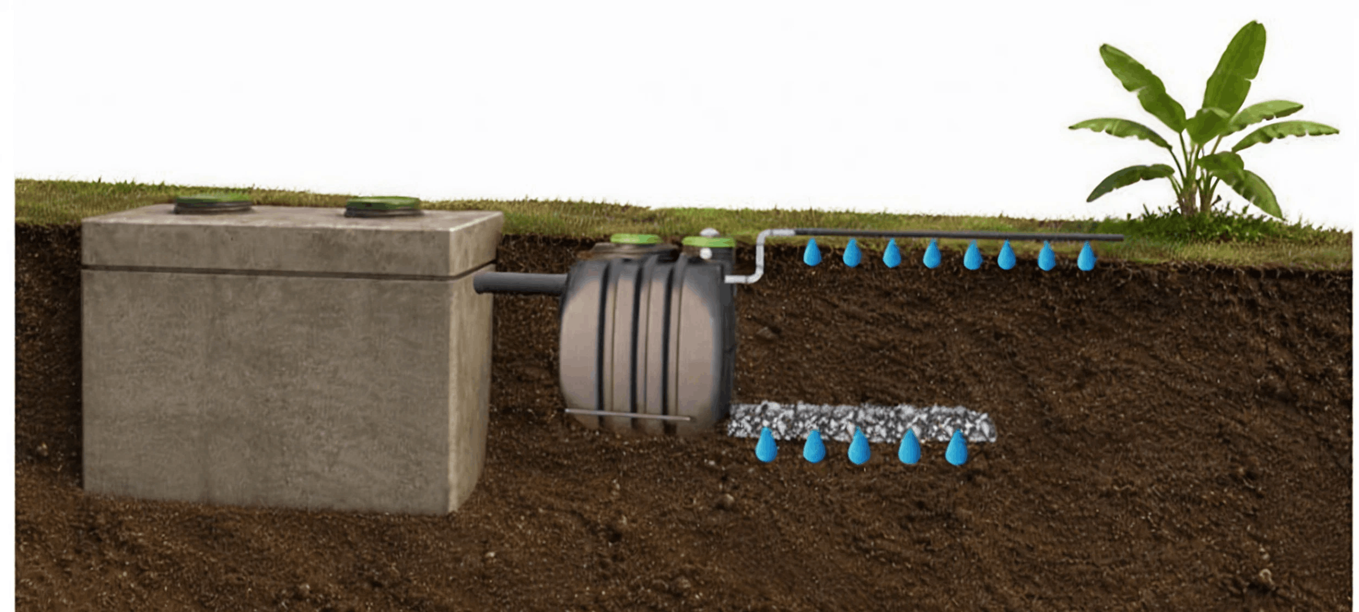 IMG-SEPTIC-TANK-BEFOREAFTER