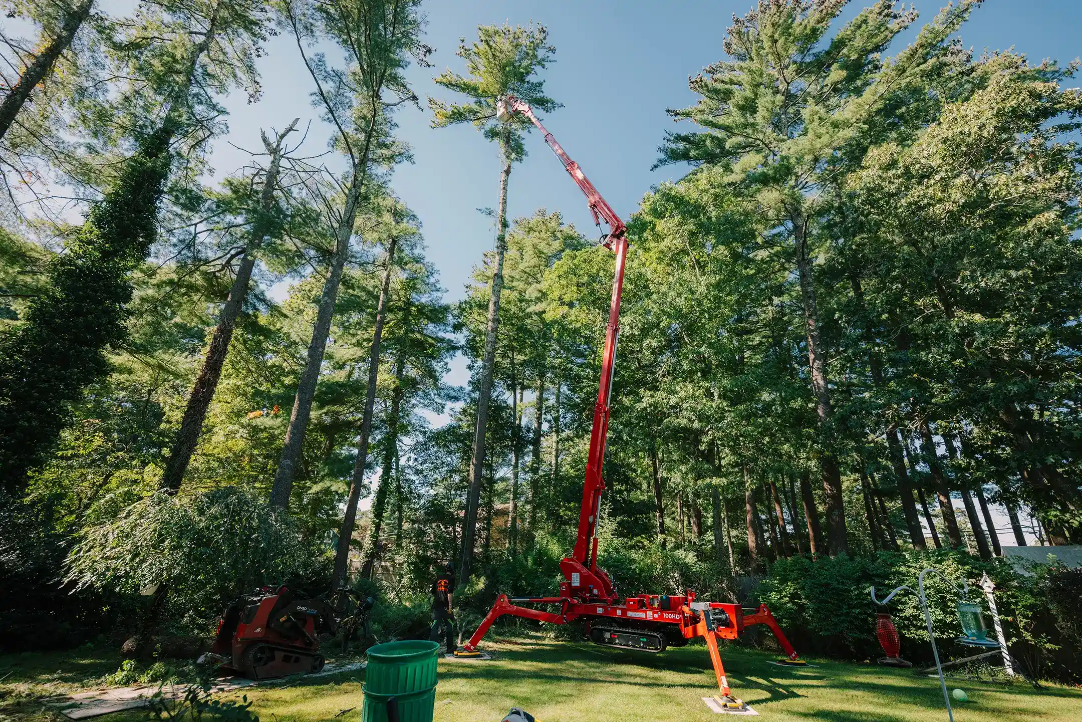 100HD Arbor Pro® backyard tree work