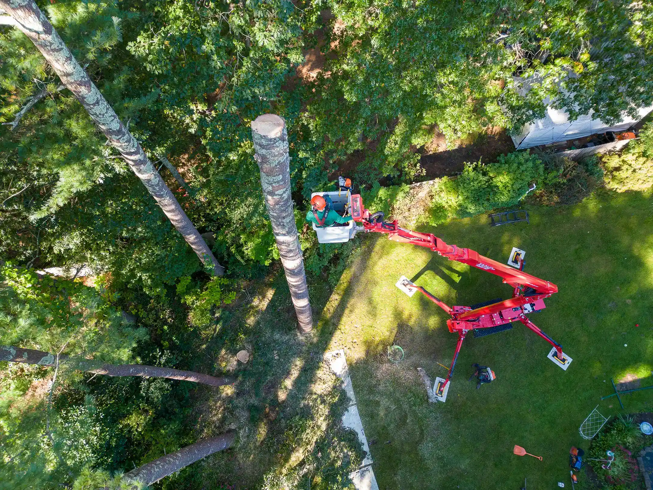 Aerial POV 100HD Arbor Pro® tree removal