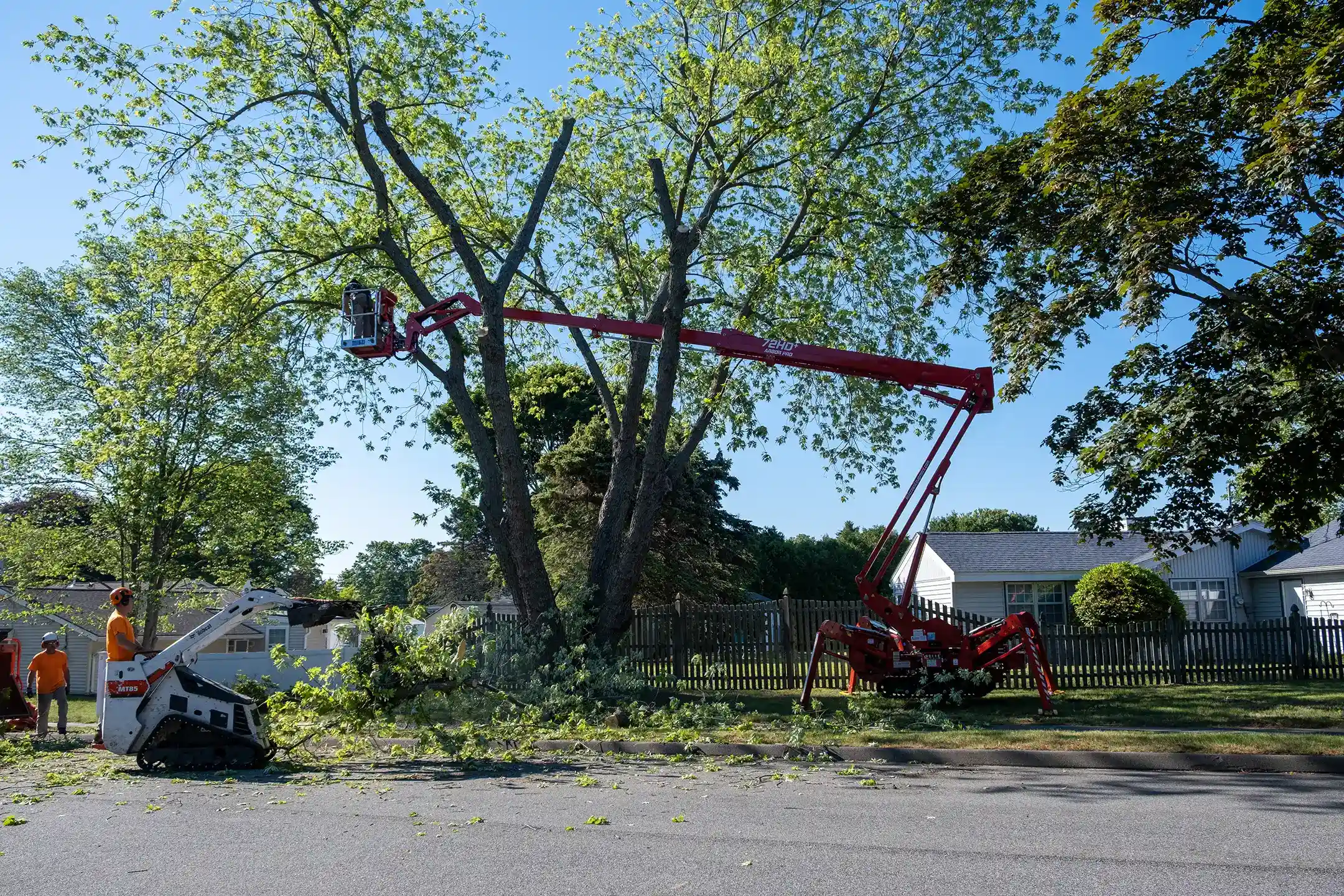 72 ft backyard tree care lift