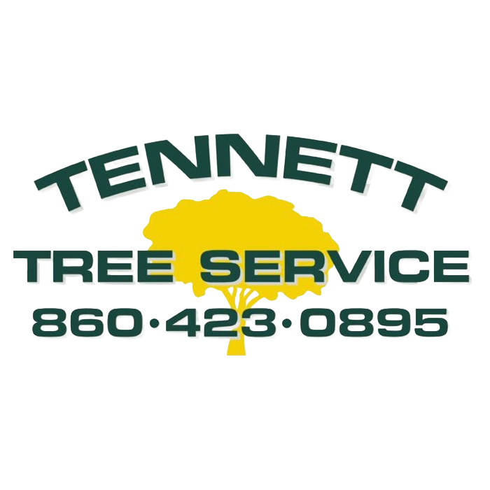 Tennet Tree Service logo