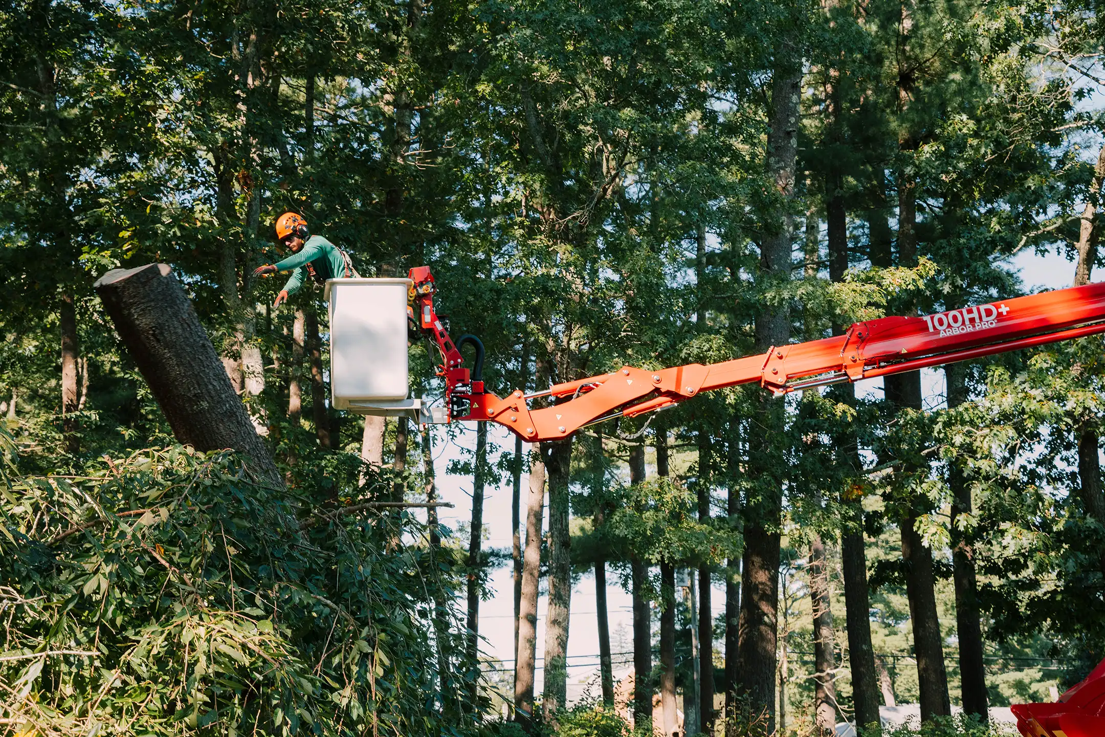 100HD Arbor Pro