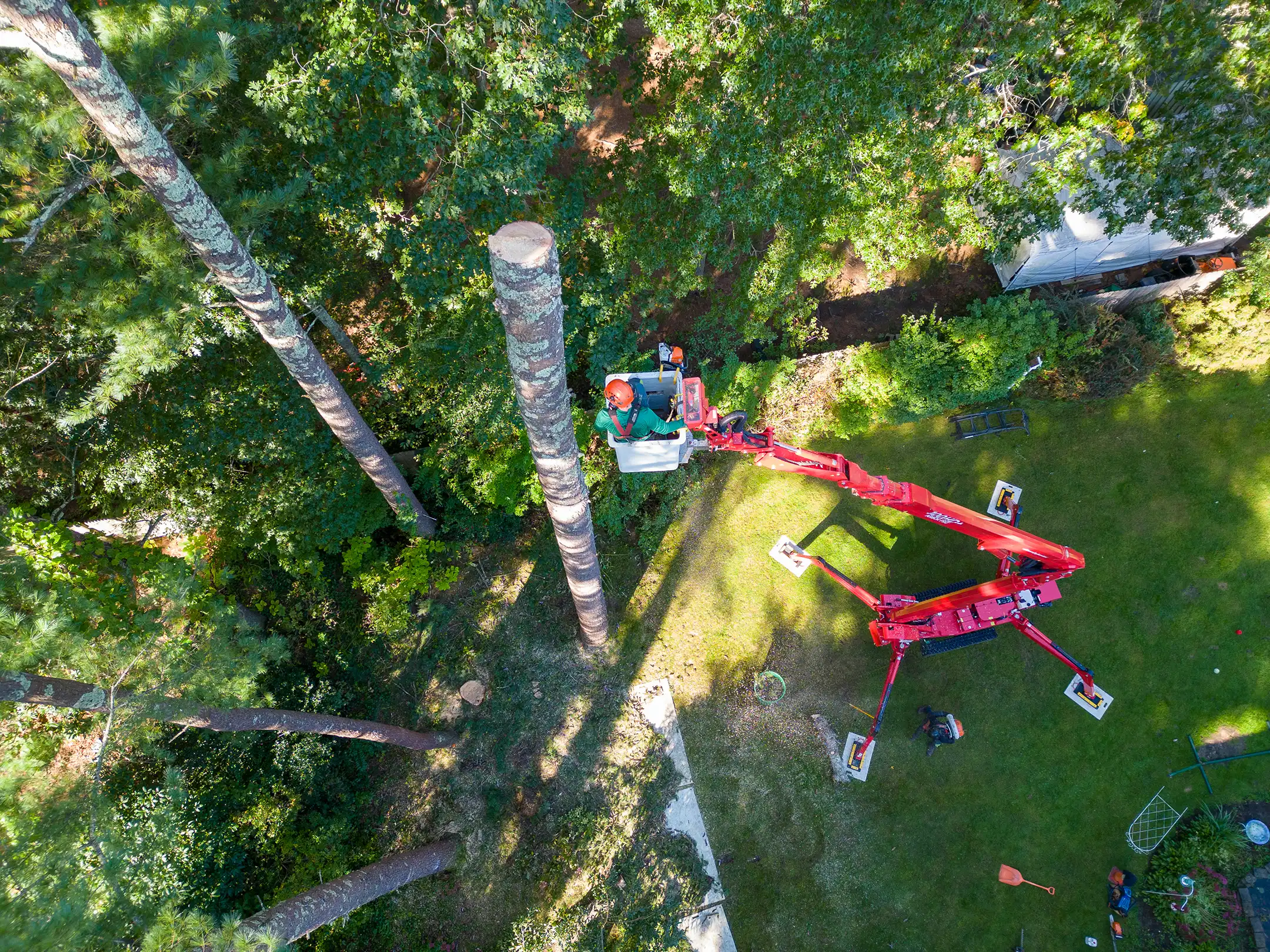 100HD Arbor Pro®