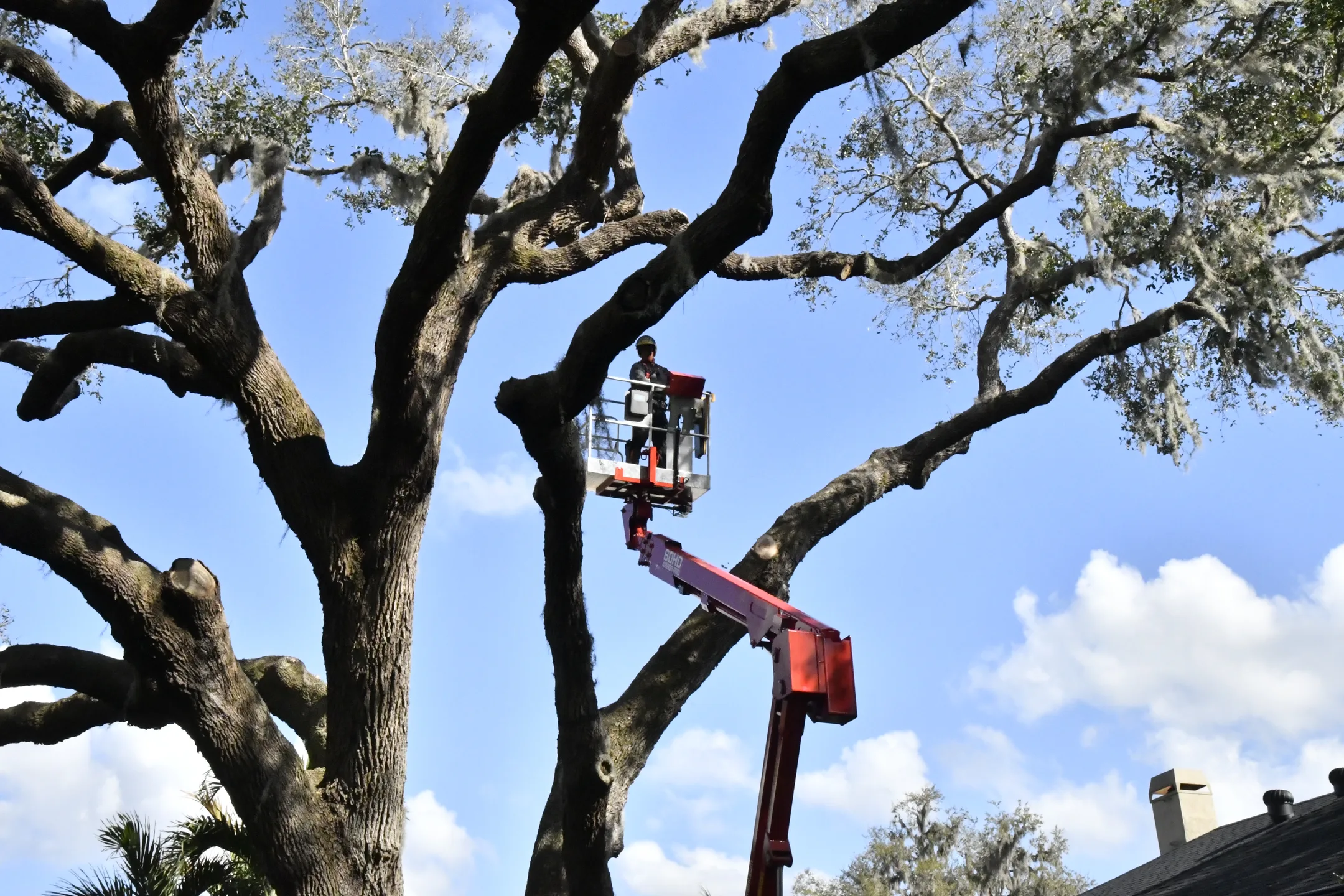 60HD Arbor Pro®