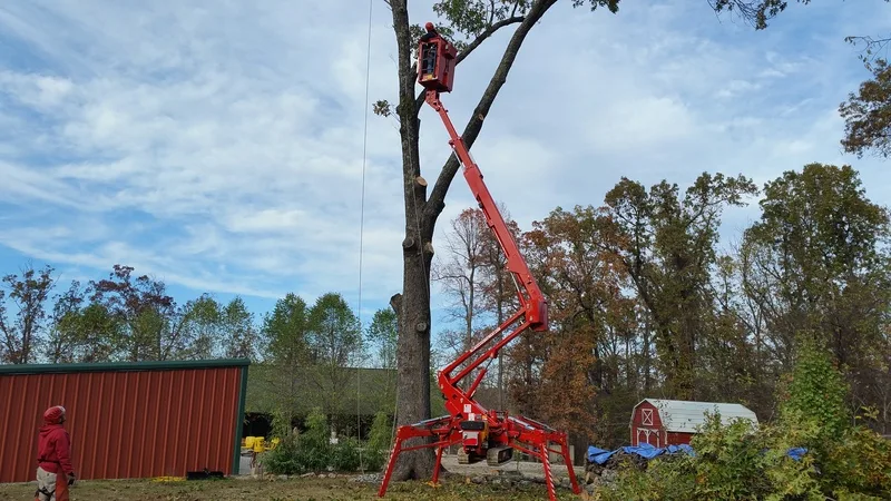 60HD Arbor Pro®