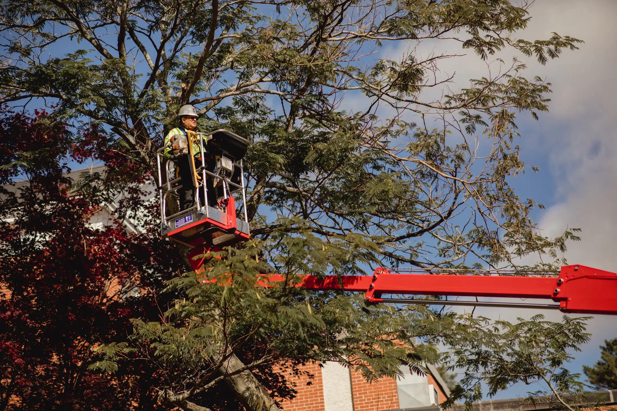 60HD Arbor Pro®