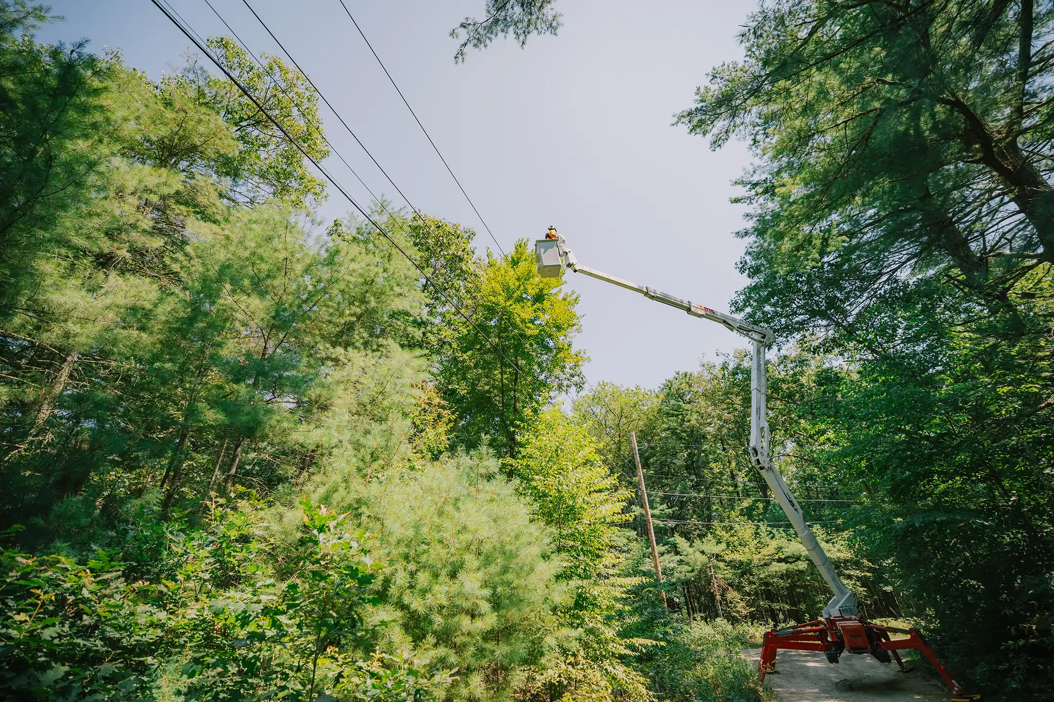 Work safely near power lines