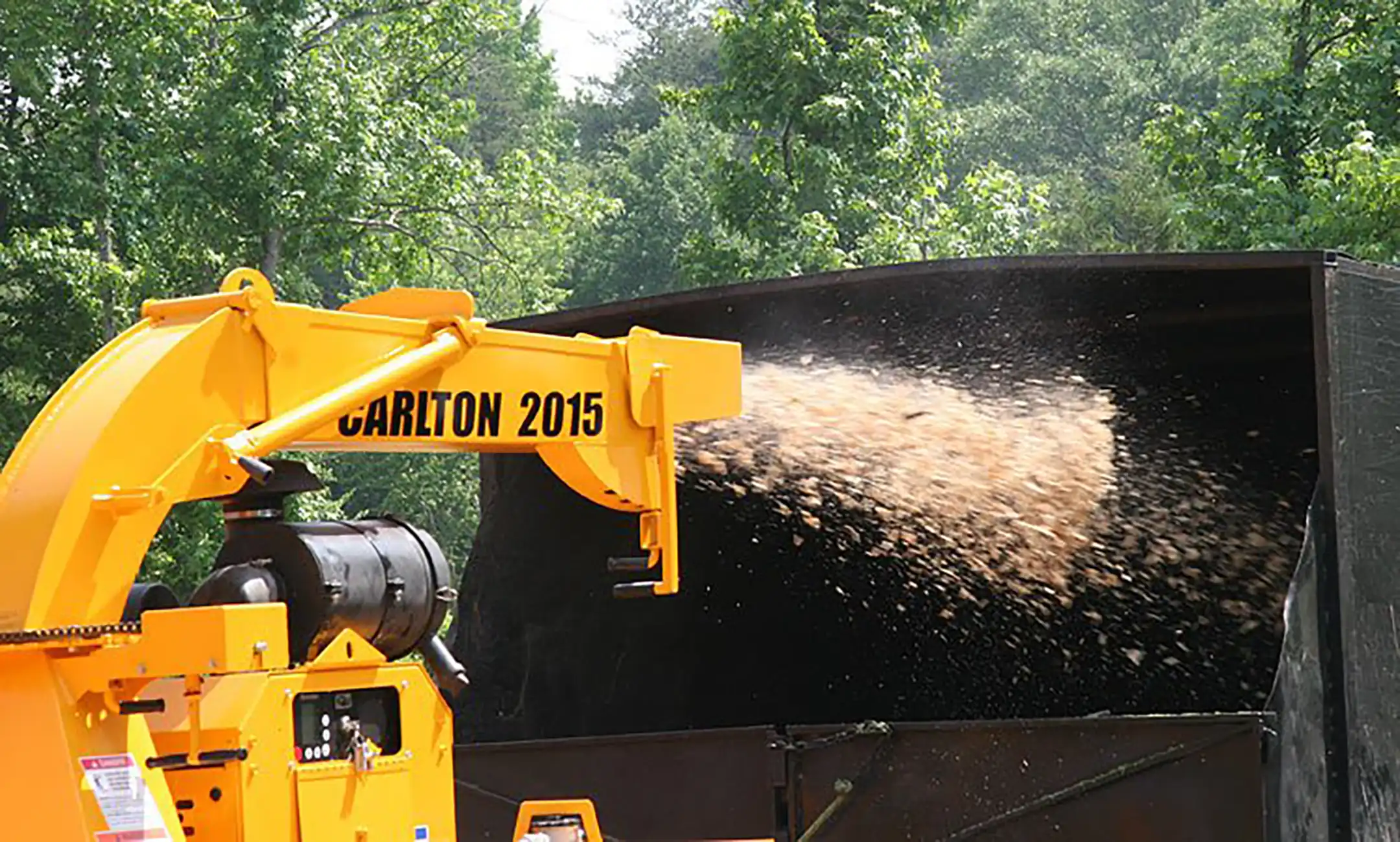 Carlton 2015