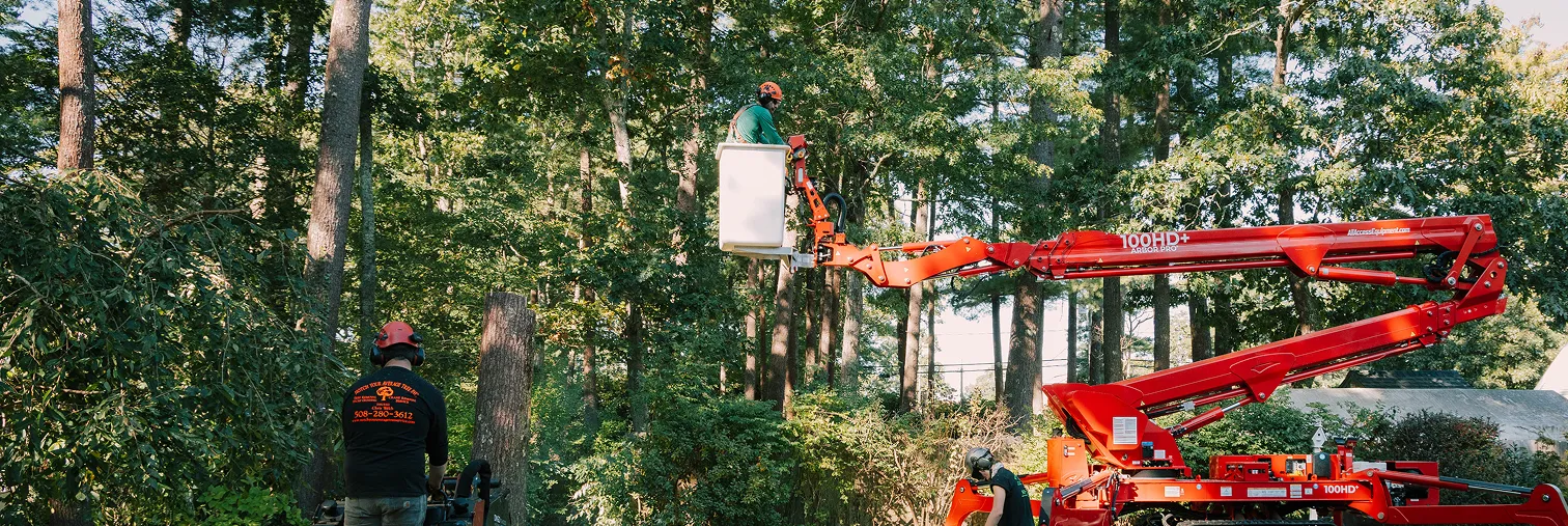 Worker in bucket lift trimming trees with crew using wood chipper on forested property.