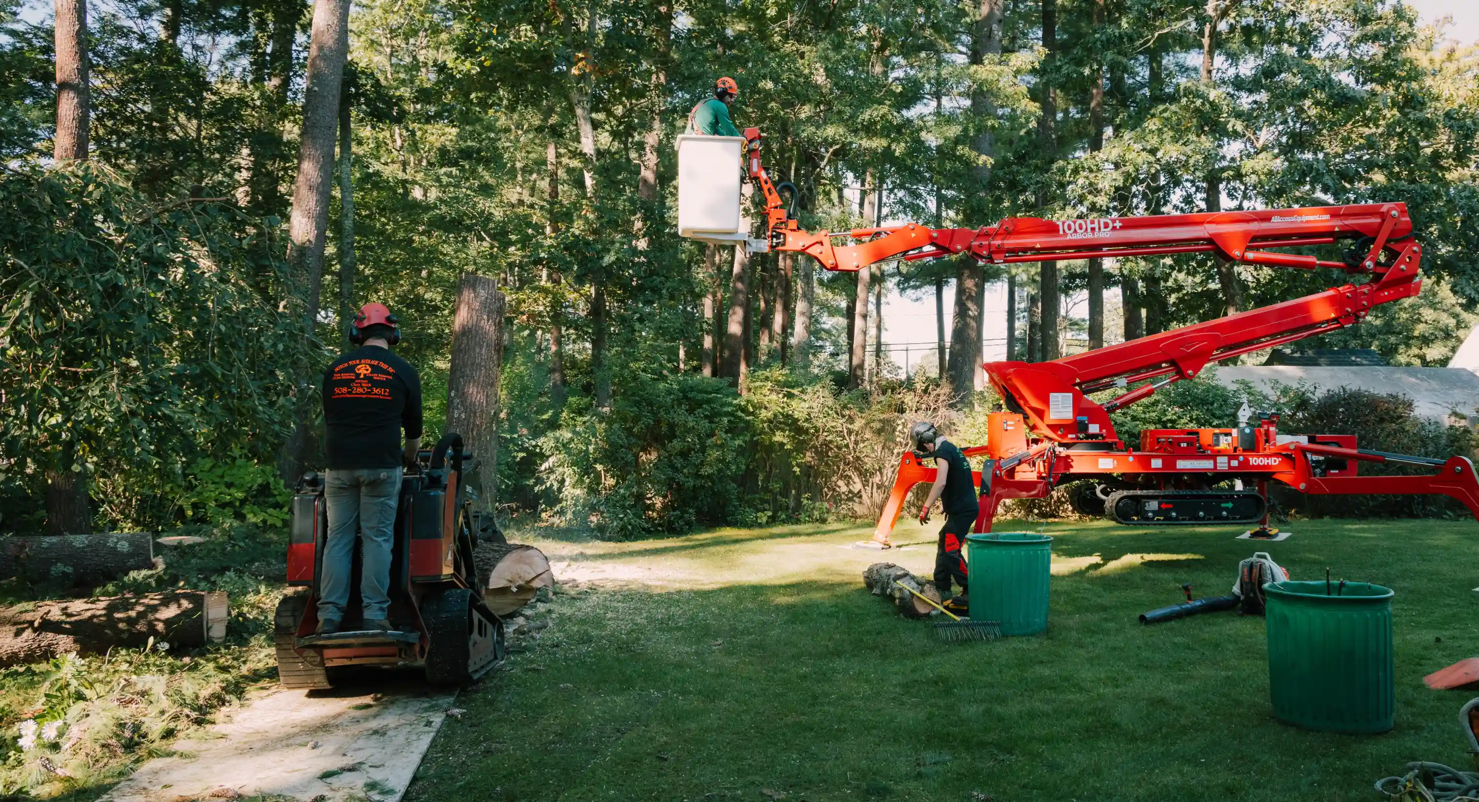 Workers operating tree cutting and lifting equipment in a wooded backyard area with green grass.