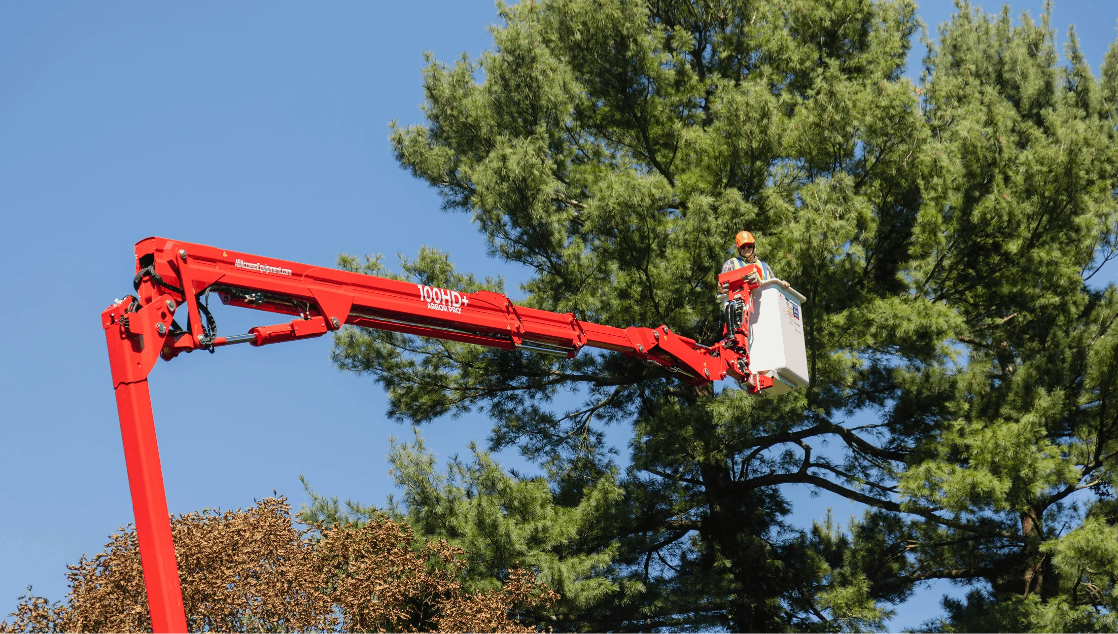 Worker in an orange helmet operating a 100HD+ crane bucket near tree branches